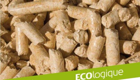 Couverture du magazine ECOlogique n°4 2010 Energies renouvelables