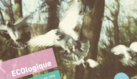 Couverture du magazine ECOlogique n°1 2016 Les pigeons