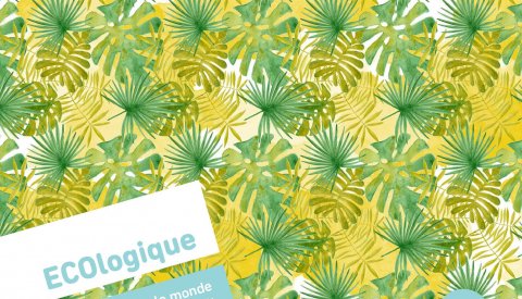 Couverture du magazine ECOlogique n°2 2017 Coopération dans le monde