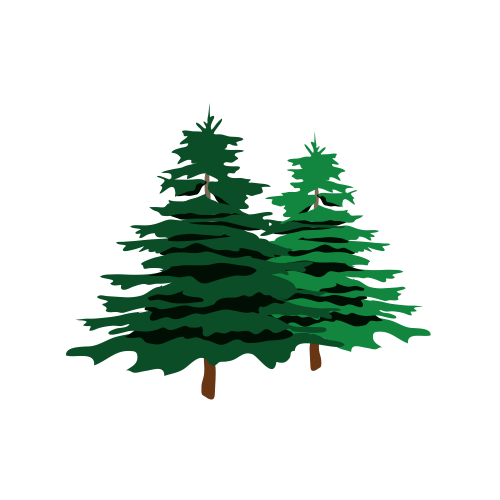 Collecte des sapins de Noël — Liège